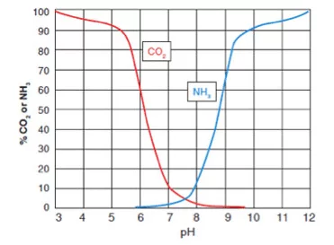 CO 2和pH相關(guān)，影響NH 3的毒性